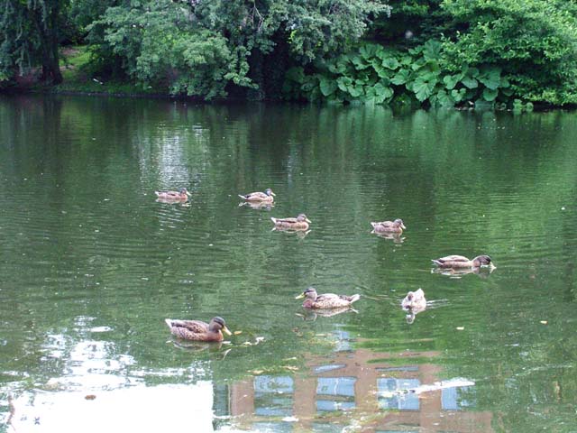 2004_0709_090009