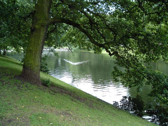 2004_0710_115904